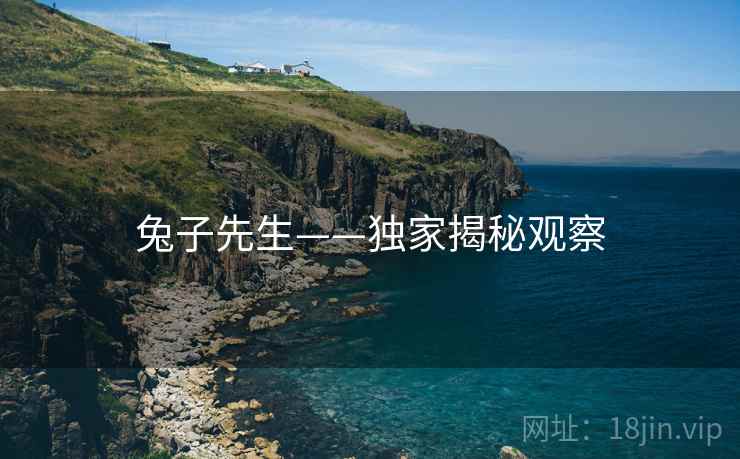 兔子先生——独家揭秘观察